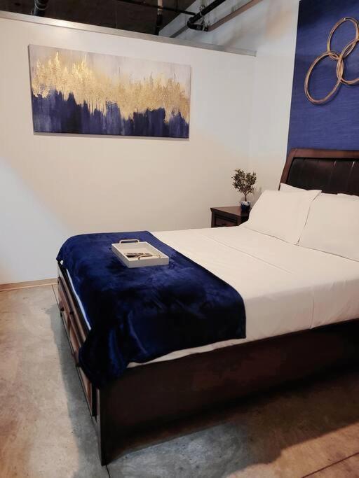 Staycation City Loft Free Gated Parking Saint Louis Ngoại thất bức ảnh